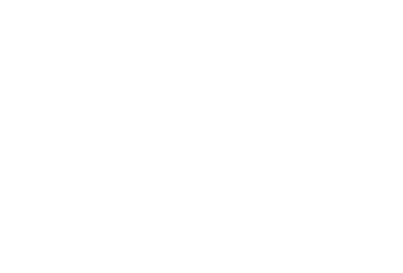 DAY Birger et Mikkelsen logo